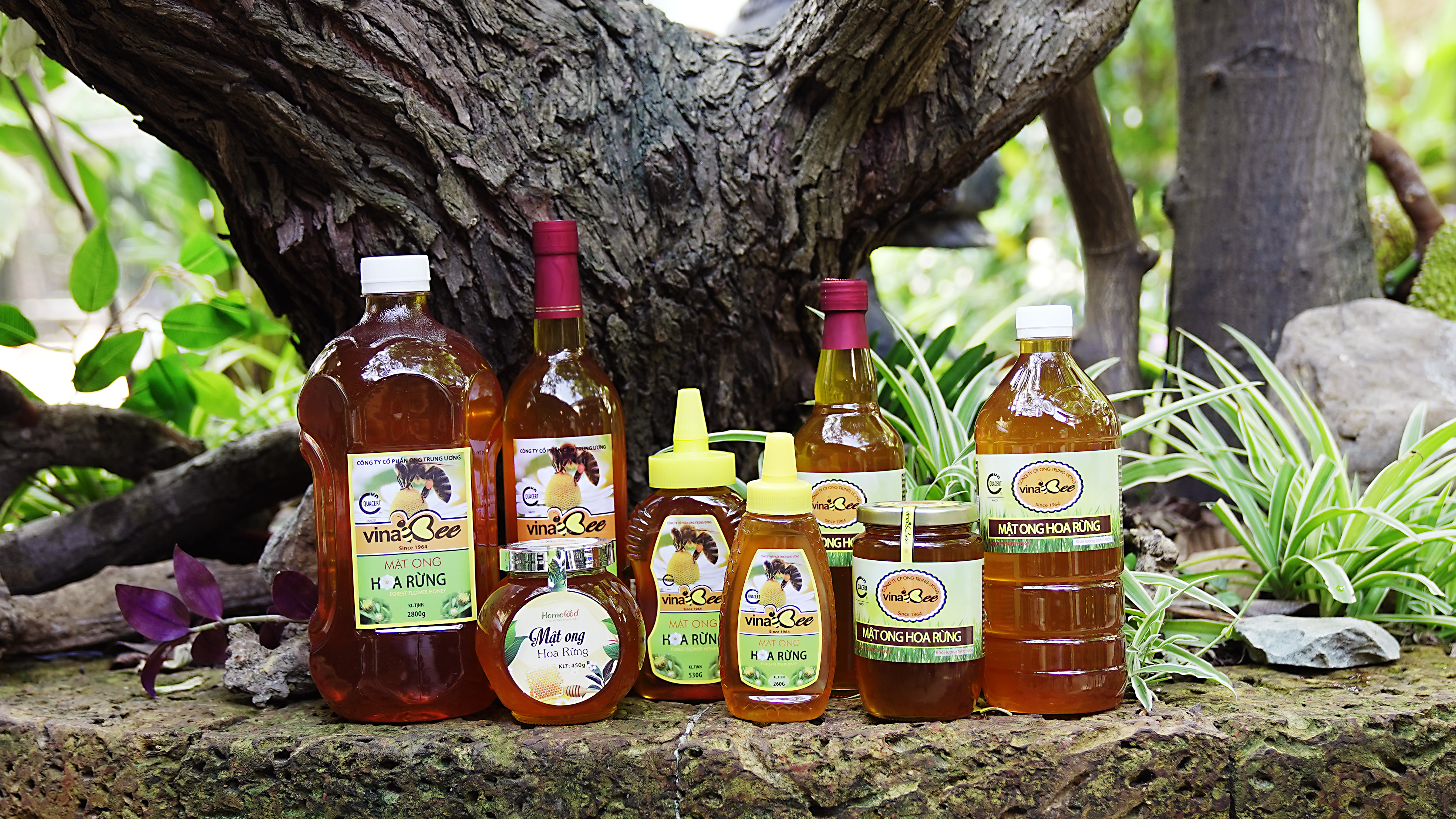 Tại sao mật ong hoa rừng 530g được nhiều người sành Tại sao mật ong hoa rừng 530g được nhiều người sành