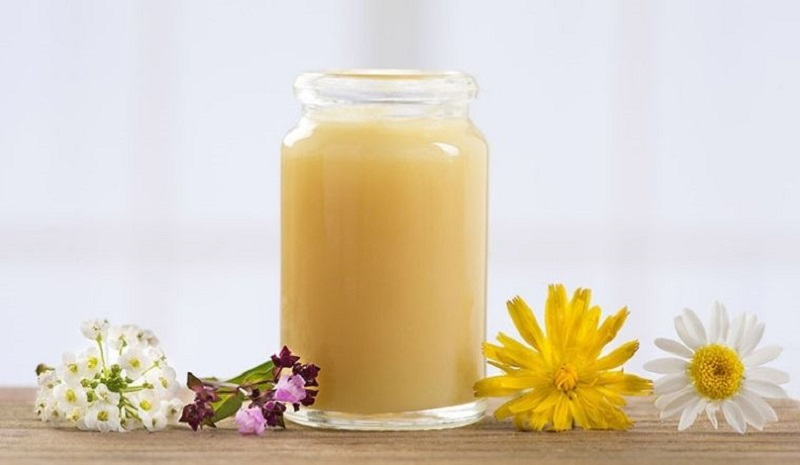 Sữa ong chúa
