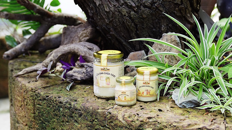 Sữa ong chúa Sữa ong chúa